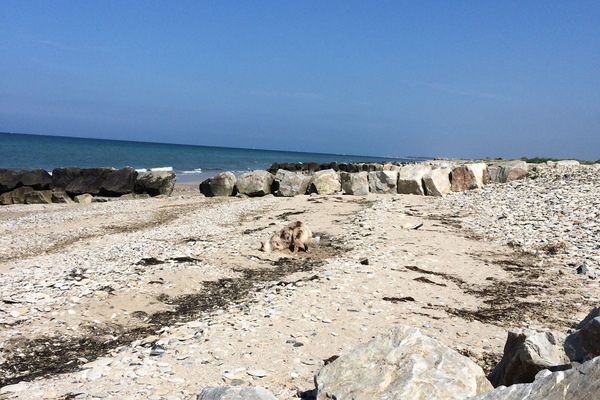 Plage, chaises longues