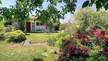 Ulkoalueet