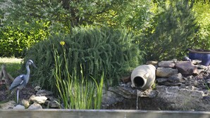 Een tuin met een vijver, rotsen en een vogel.
