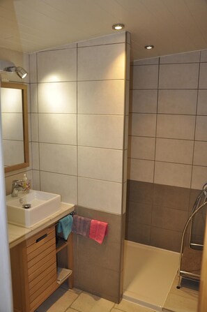 Shower, hair dryer, towels, soap - HOUSE STUDIO 50M² +SPA+HEATED POOL IN QUIET MARAIS POITEVIN IN VENDEE (Liez)