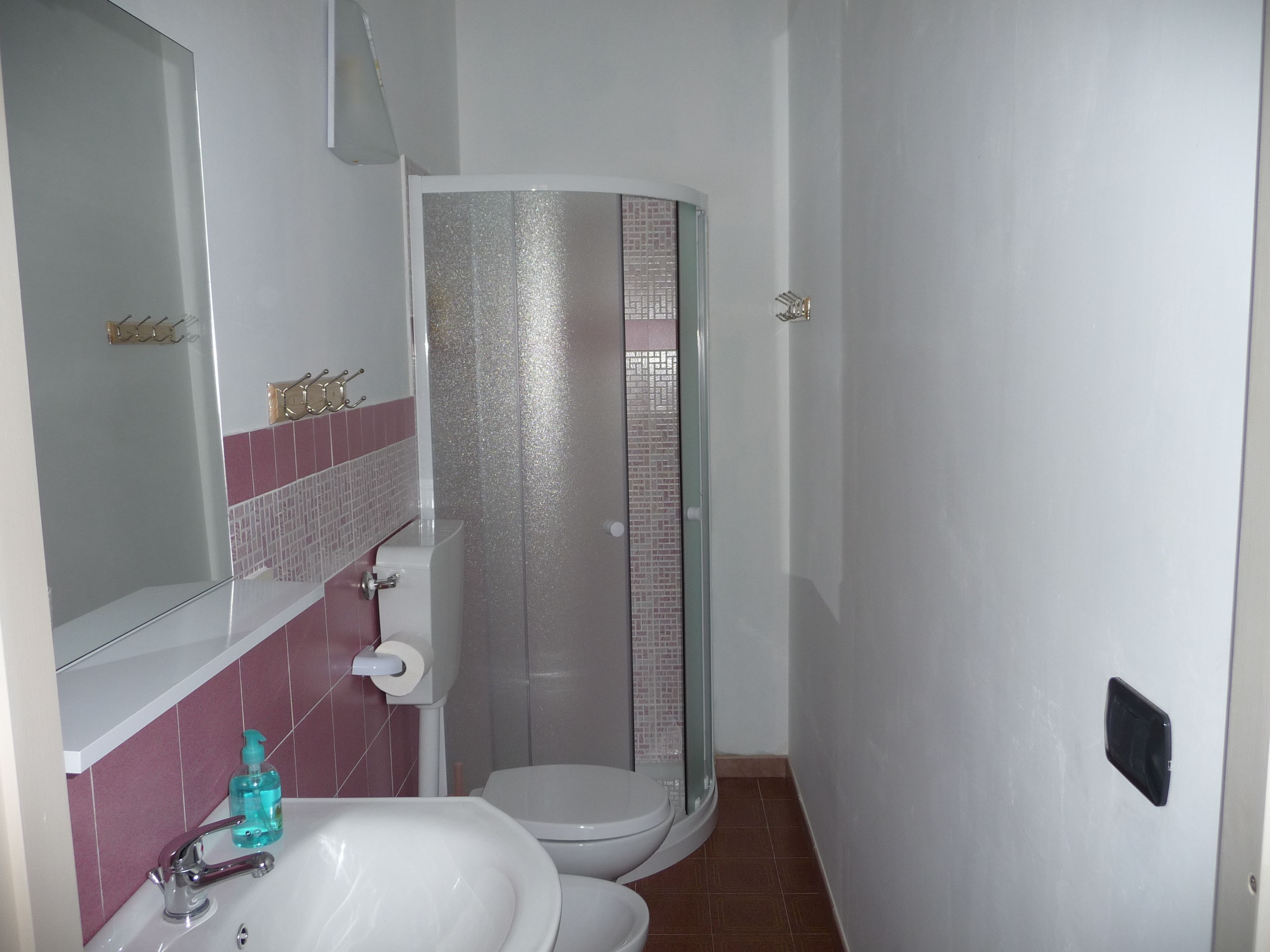 A bathroom with a white sink, a mirror, a toilet, and a shower enclosure.