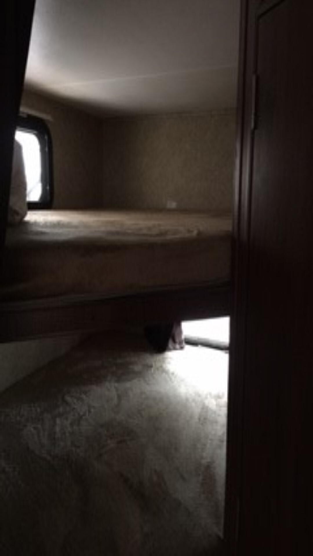 Beautiful serene country setting 1bedroom RV on 5 acres. 15 min from Mt. Dora 