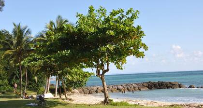 Superb apartment with garden and private pool, close to the sea