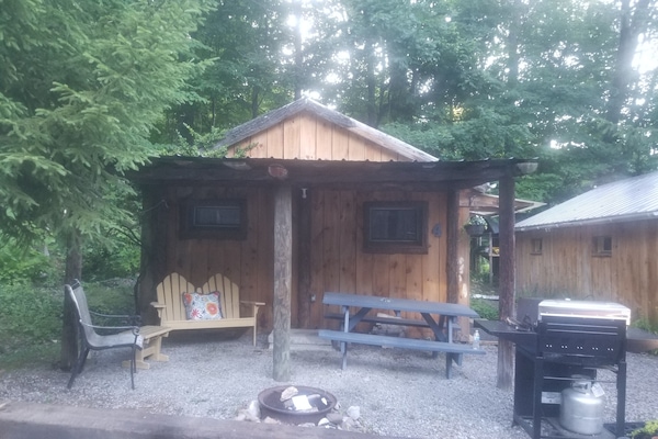 Cabin 4