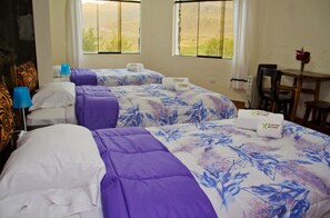 三人房, 3 张单人床, 私人浴室 | 防过敏的被褥、羽绒被、办公桌、折叠床/加床（额外收费）