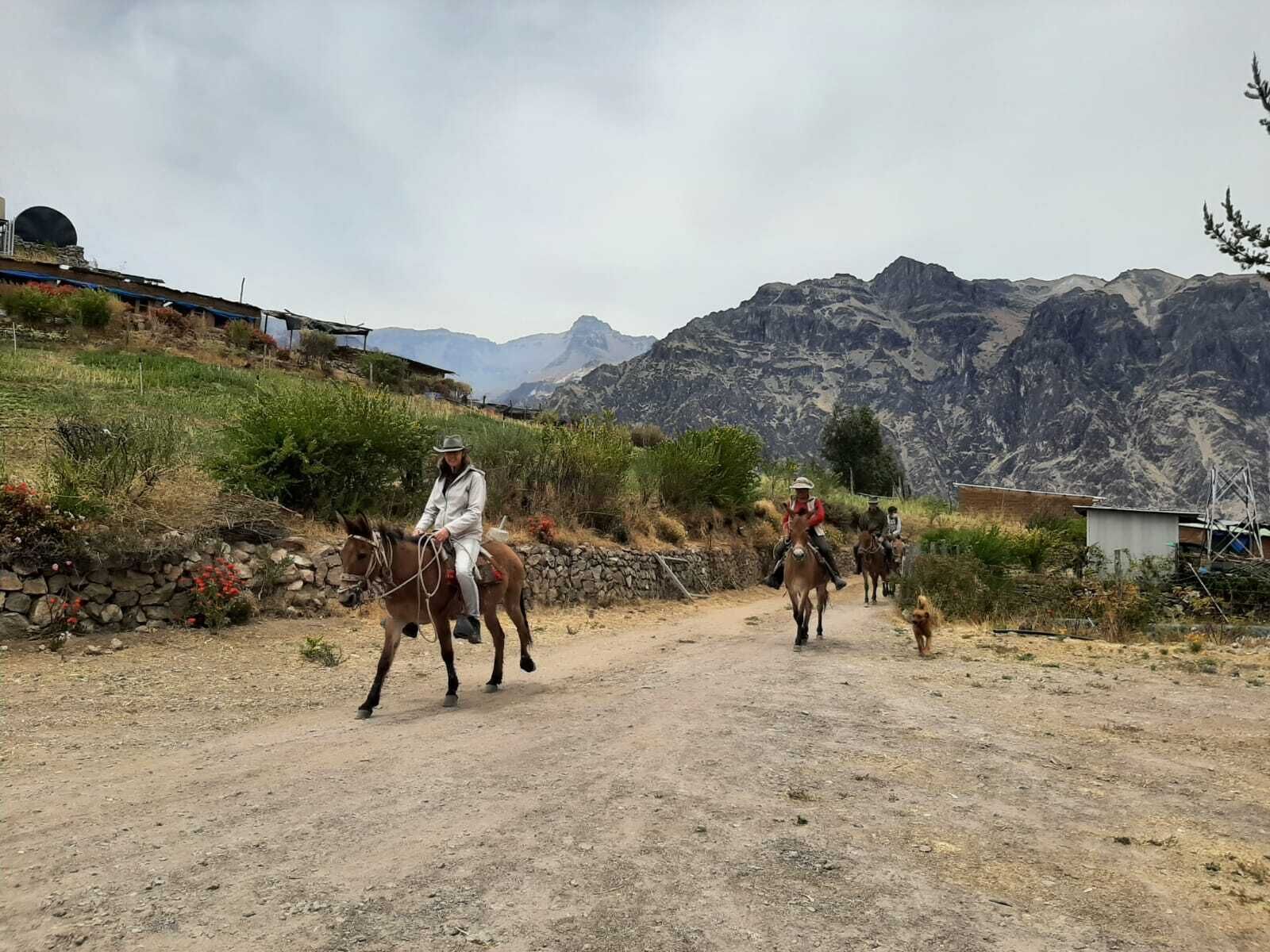 A dirt road with people riding horses, surrounded by mountains and sparse vegetation.