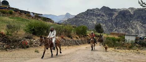 A dirt road with people riding horses, surrounded by mountains and sparse vegetation.