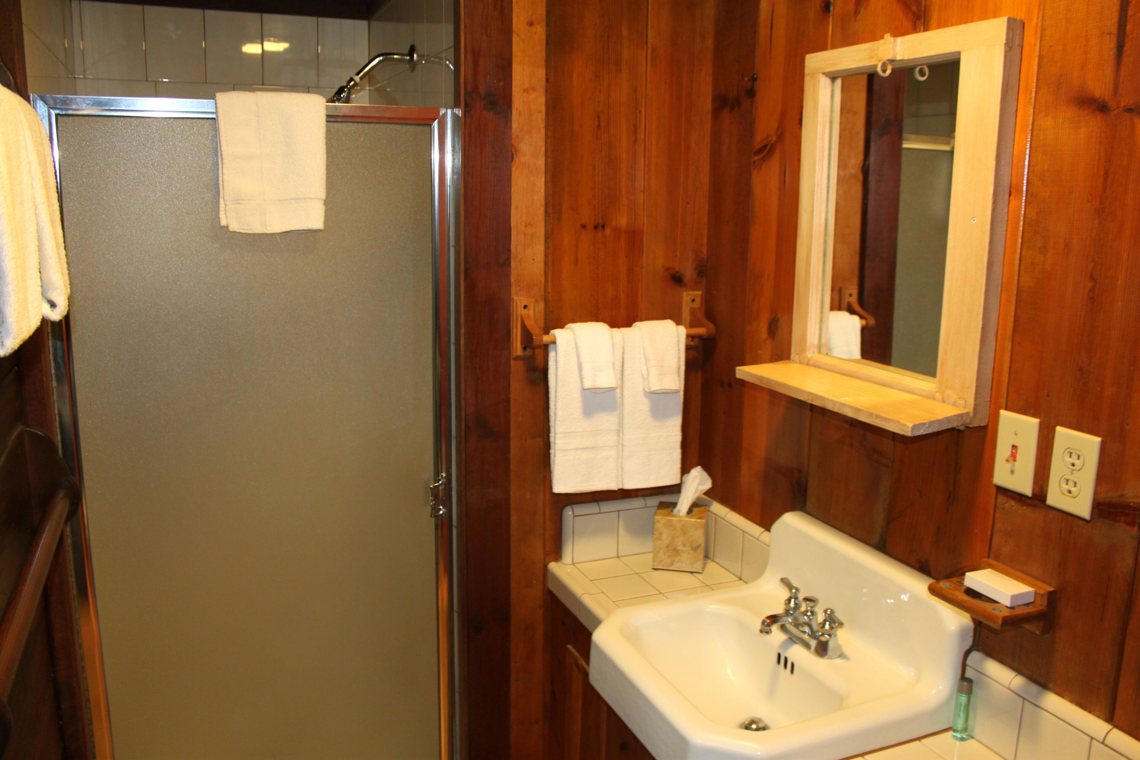 A bathroom with a shower, a sink, and a mirror.
