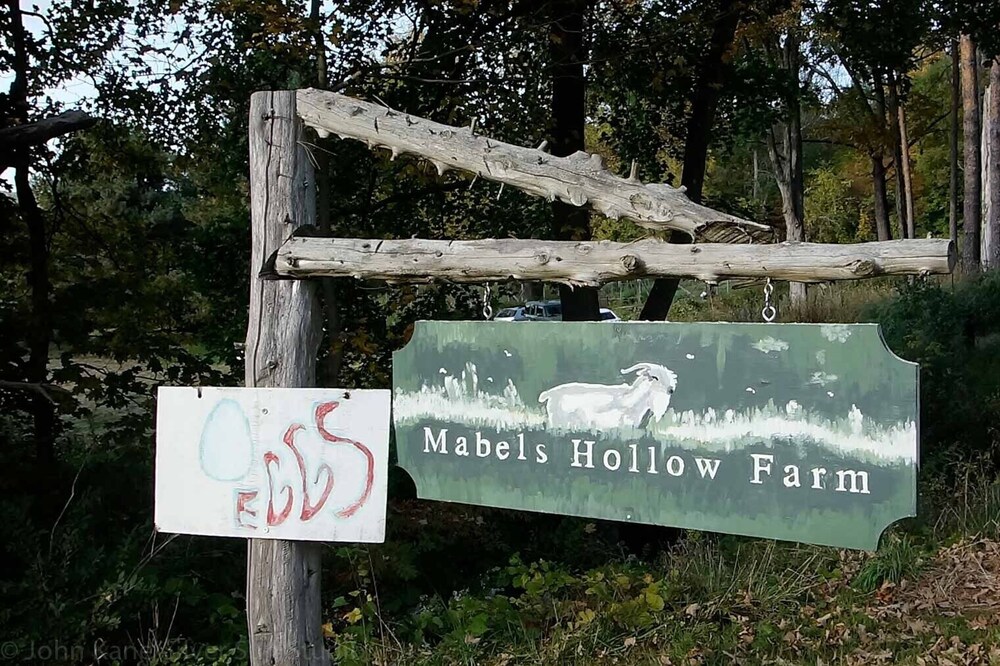 Mabels Hollow Farm, En suite bedroom farm stay,