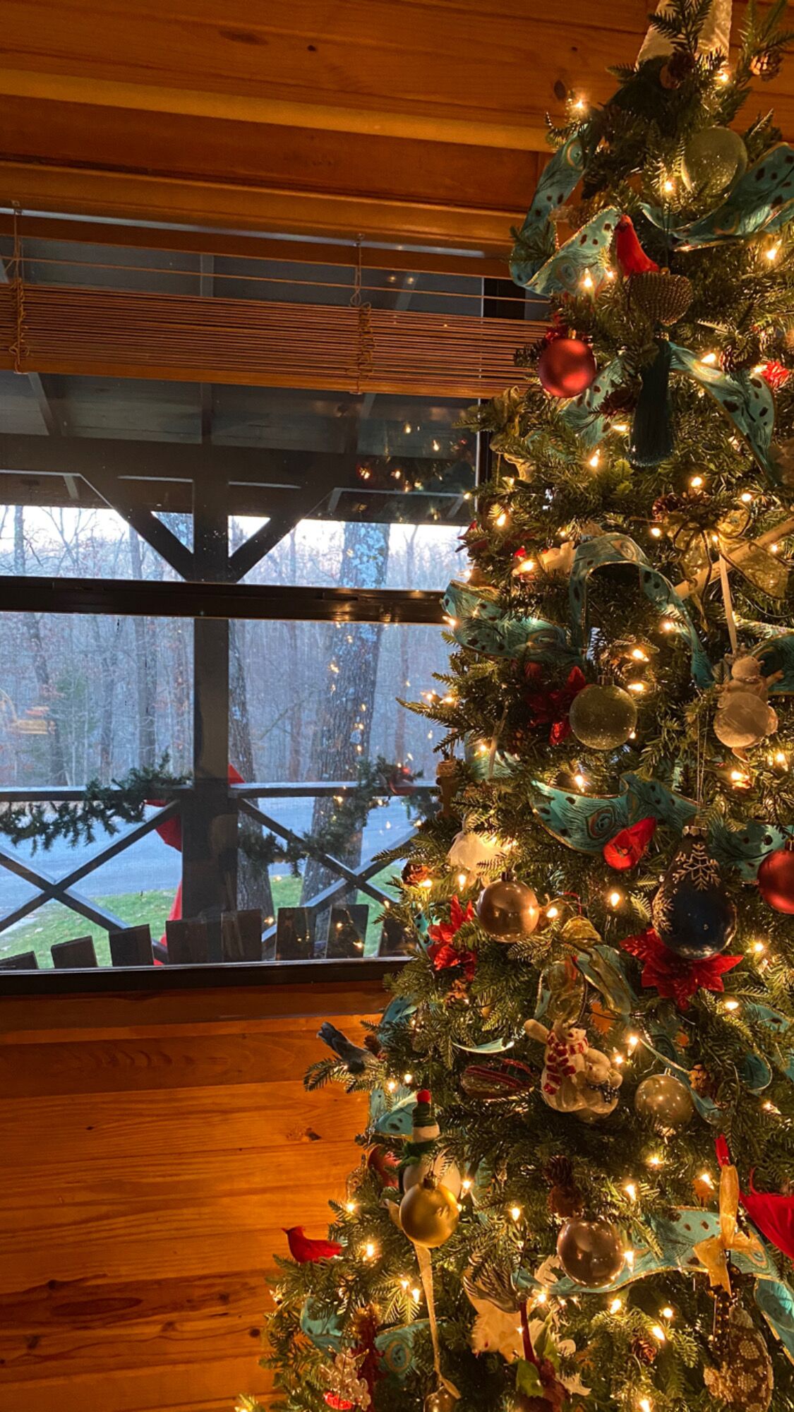 BEST Back 40 Cabin in the Woods! MTB, Hike,  or just relax.  Peaceful and cozy