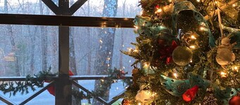 BEST Bikerin mökki vetäytyy metsässä, paluumatkalle 40, 