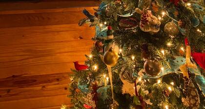 Cozy home in Bella Vista, AR—by Back 40 trails. Surrounded by woods, spacious.