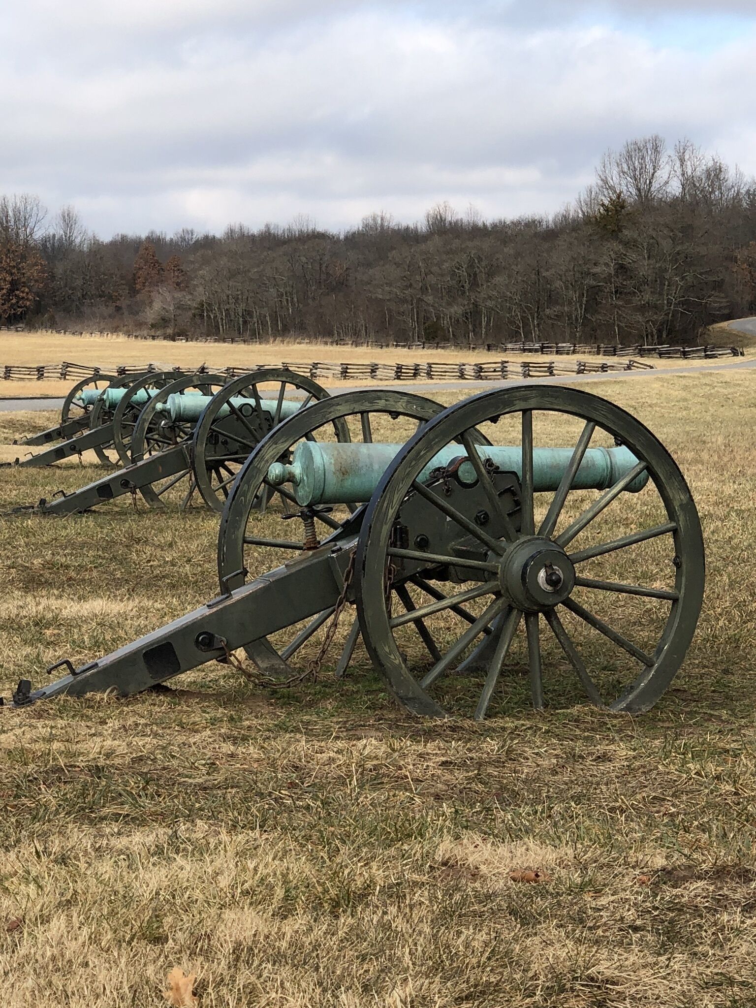 A field with several cannons.