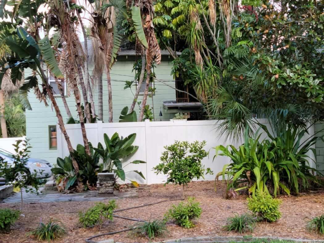 Un jardín con diversas plantas y un muro blanco.