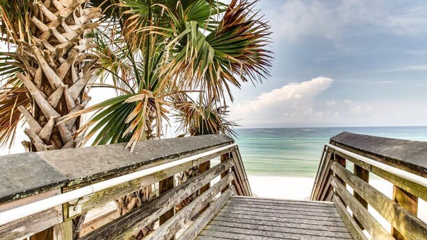 Una passerella in legno che conduce a una spiaggia con una palma e vista libera sull'oceano.