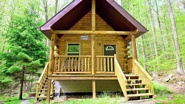 A wooden cabin with a balcony, labeled "BOBCAT CABIN," surrounded by a forest.