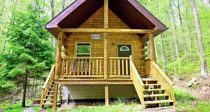 Cabin in the mountains