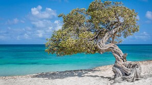 Am Strand, Liegestühle, Strandtücher
