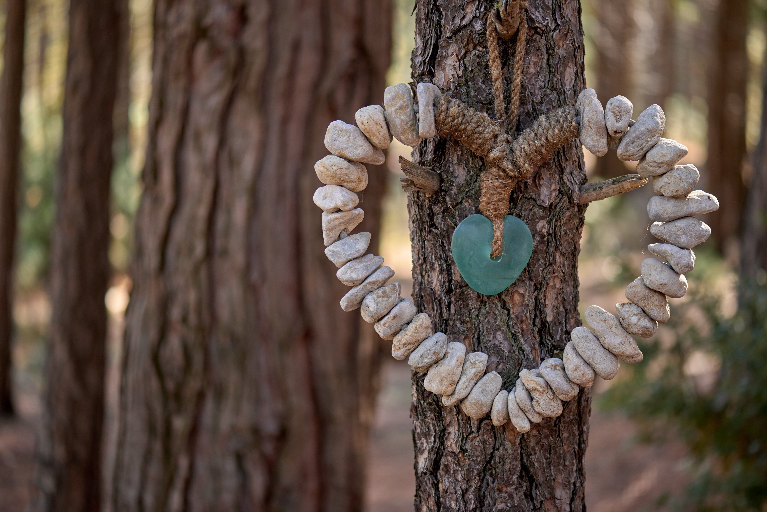 A tree trunk with a heart-shaped arrangement of stones and a green heart in the center.