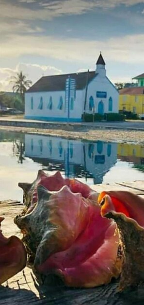 Pool - CAT NAP - An Affordable Home Away from Home (Rainbow Bay)