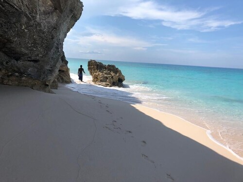 CAT NAP - An Affordable Home Away from Home