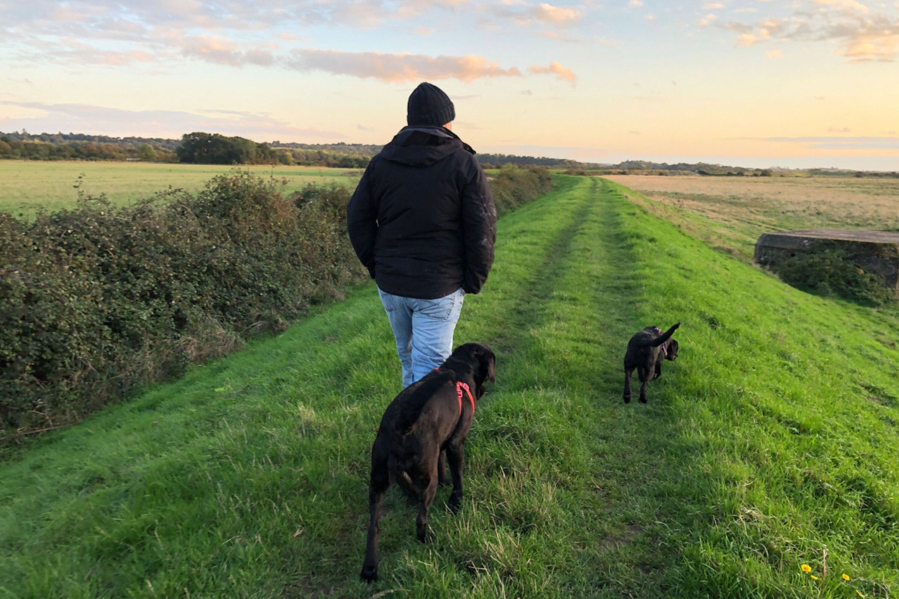 A person walking a dog on a grassy path with a field in the background.