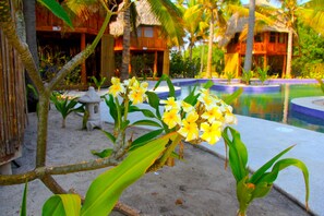 2 outdoor pools - Tortuga Village (La Herradura)