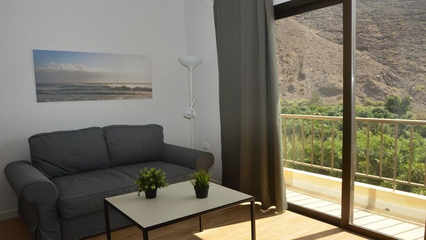 Una sala de estar moderna con un sofá gris, una mesita baja con dos plantas en macetas, una lámpara de pie y un ventanal con vistas a un paisaje montañoso.
