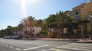 Una calle con palmeras, un paso de peatones y coches aparcados al borde.