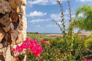 A stone wall with bougainvillea flowers, a view of the sea, and greenery.