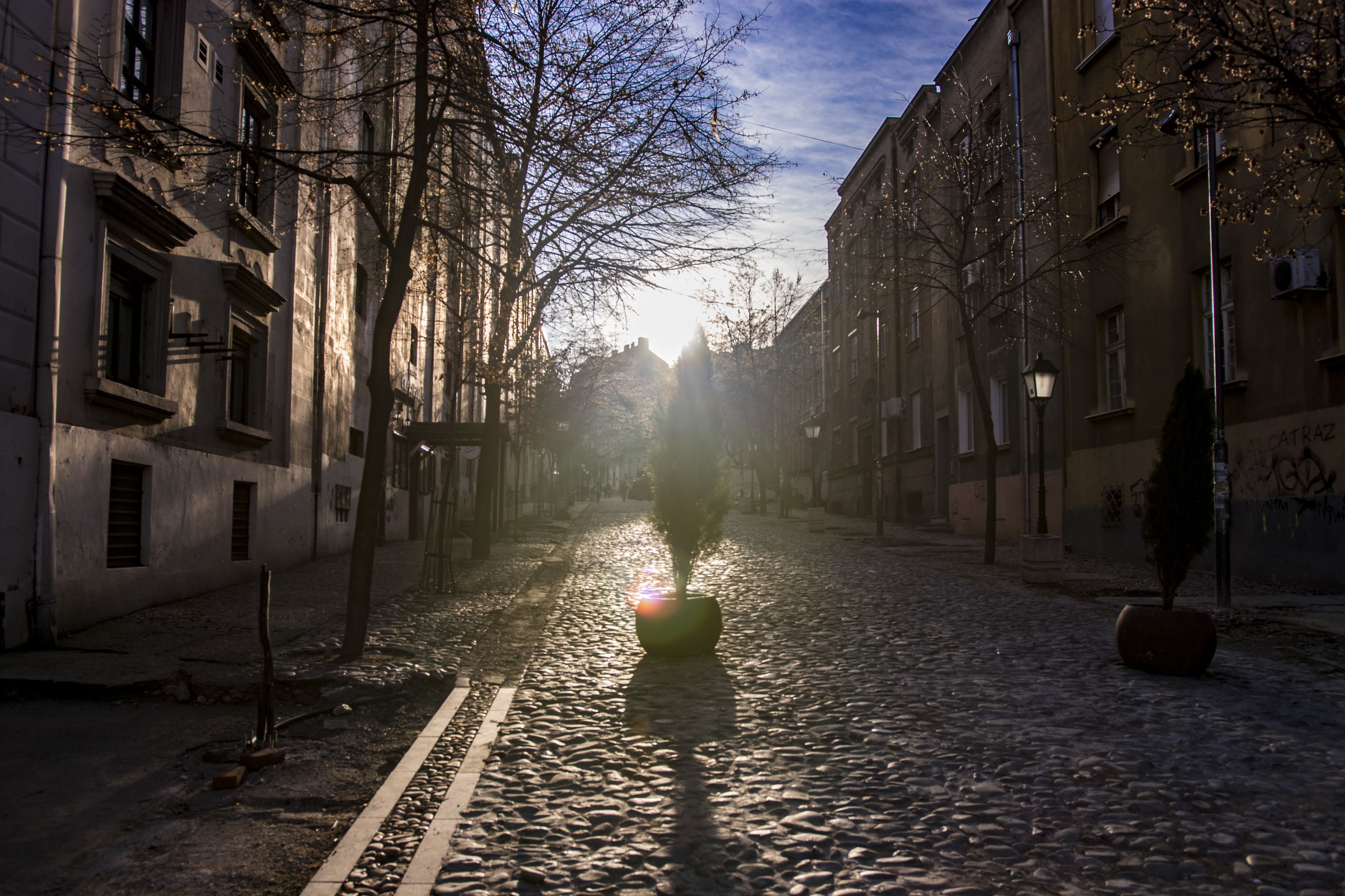 land view from property