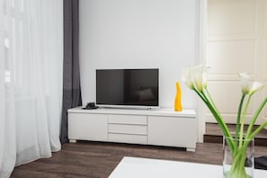 Flat-screen TV