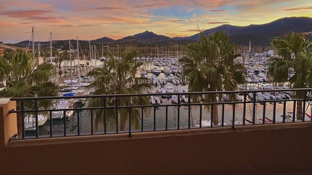 A marina with boats, palm trees, and mountains in the background.