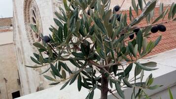 Panoraamastudio, kaupunkinäköala | Näkymä huoneesta