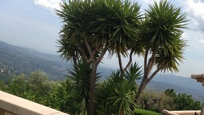 Un balcon offrant une vue sur un paysage montagneux, avec un arbre aux feuilles pointues et des fleurs en pleine floraison.