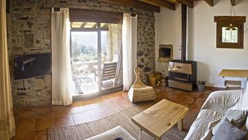 Télévision, cheminée, lecteur de DVD, livres