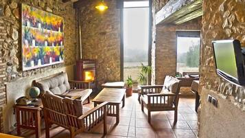 Télévision, cheminée, lecteur de DVD, livres