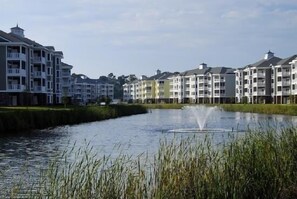 Residents can enjoy a serene atmosphere in this tranquil neighborhood with a small water feature and well-manicured lawns.