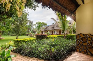Un patio con un edificio de techo de paja, rodeado de setos cuidados y plantas tropicales.