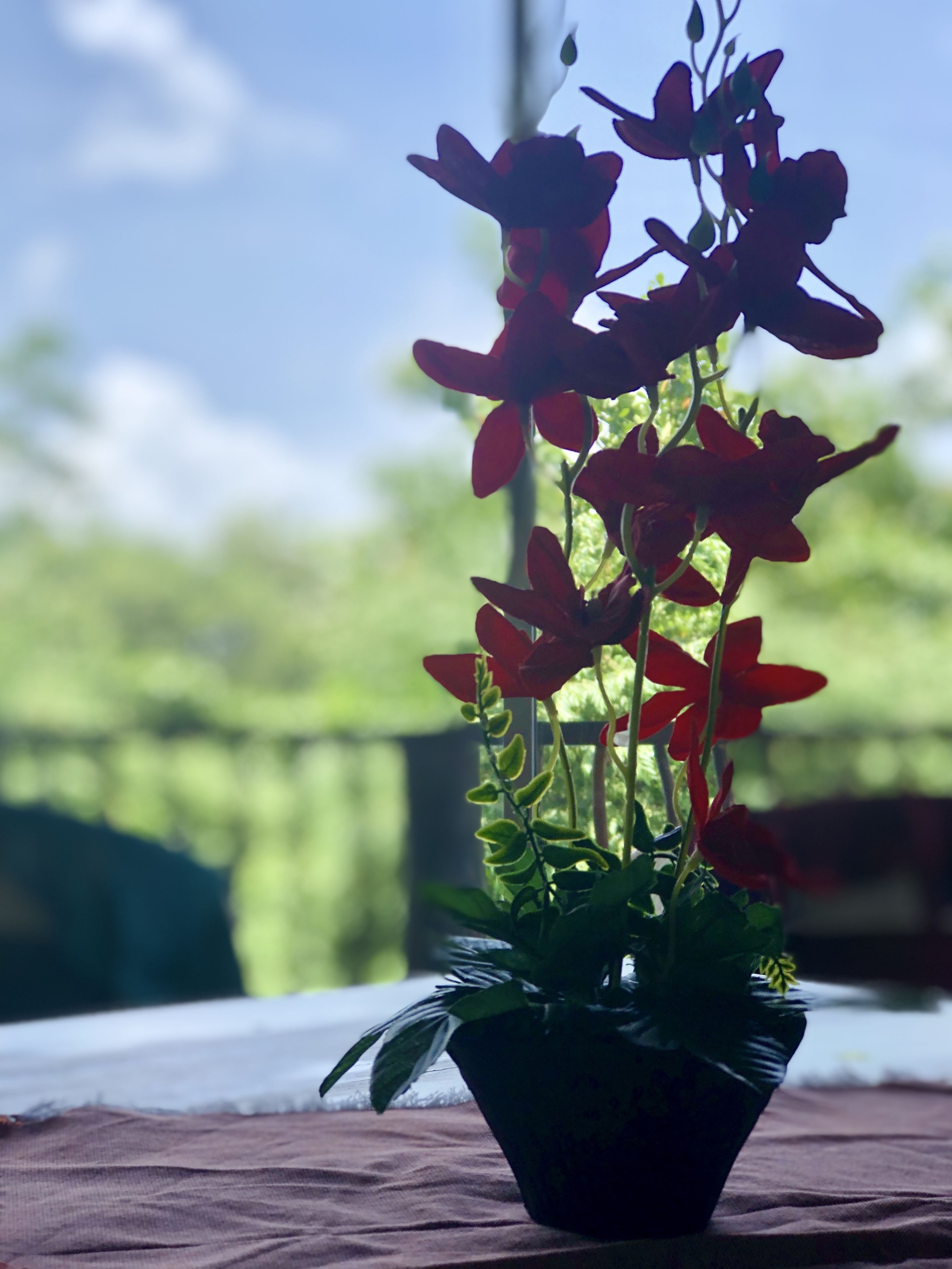 Premium bedding, Select Comfort beds, in-room safe