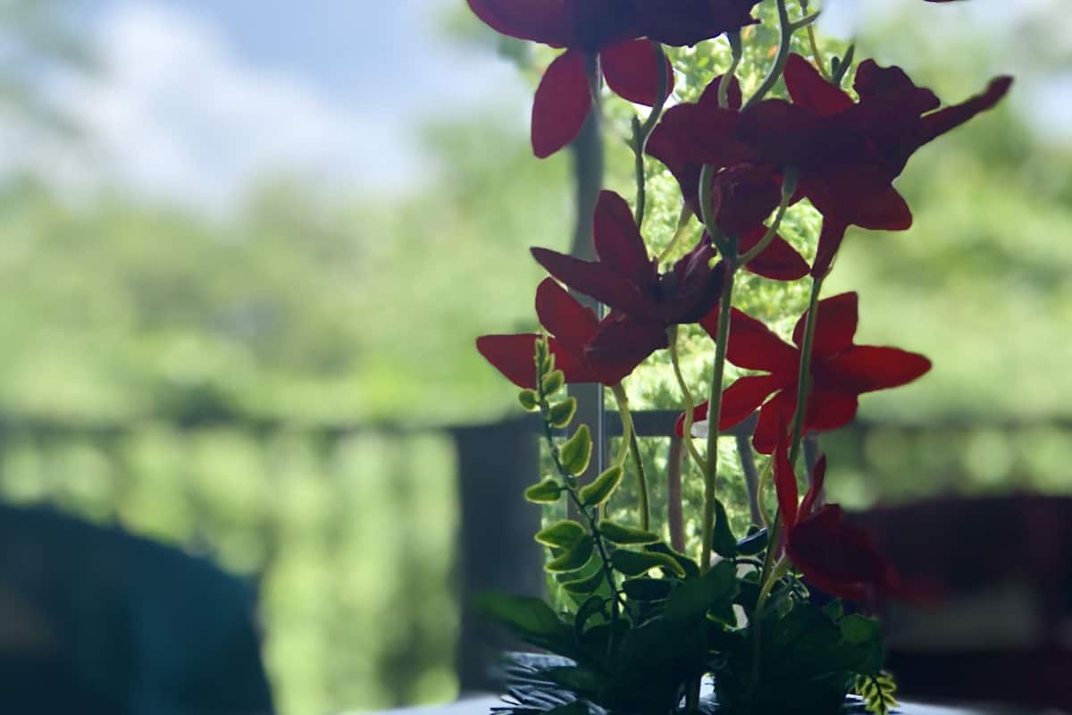 Premium bedding, Select Comfort beds, in-room safe