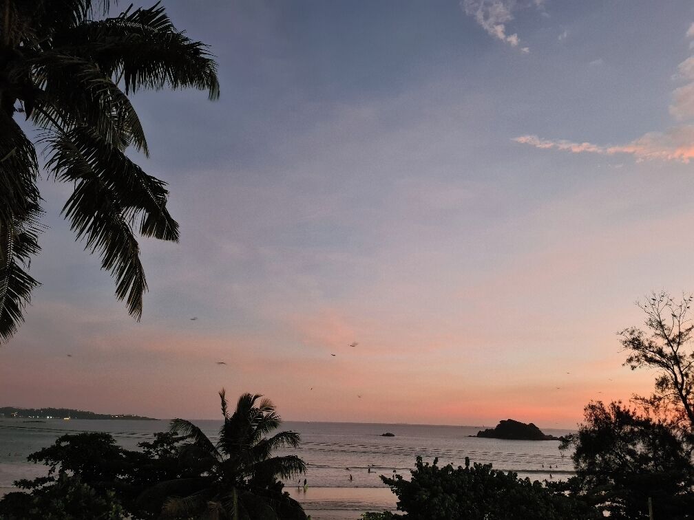 A beach scene with palm trees and a sunset.