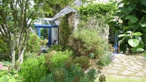 A garden with a stone wall, a blue pergola, and various plants. - In the village Trébéron, Crozon peninsula,  (Crozon)