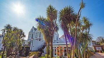 Vista desde la propiedad