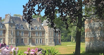 Château de Janville * * * * * Swimming pool -Tennis - Golf - Beaches