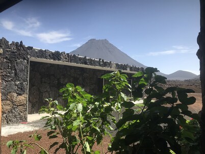 Oasis Coba Tina