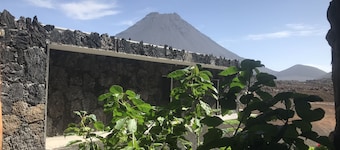 Oasis Coba Tina