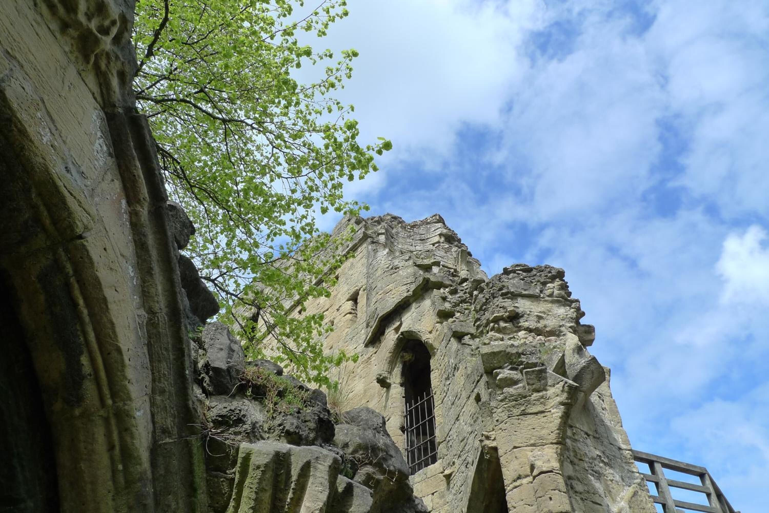 A stone building with a window and a door, surrounded by trees.
