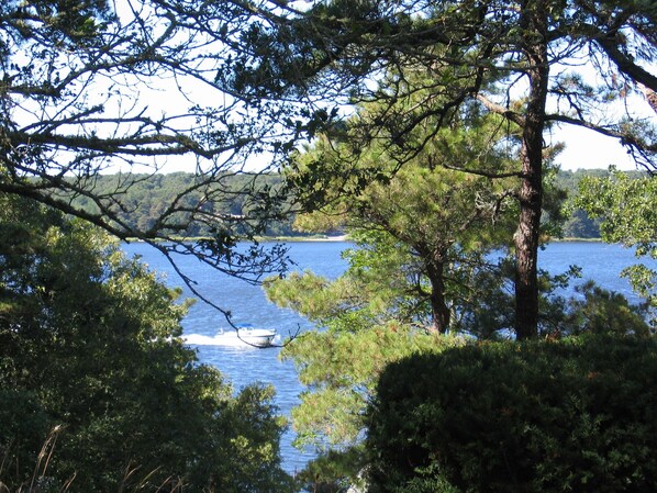 Property grounds - Beautiful Waterfront Home with Beach, Dock, Deck, & Great Views! capeoceanvista (Yarmouth)