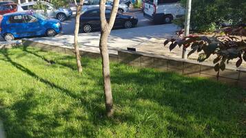 Terrein van de accommodatie